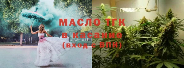 хмурый Горняк