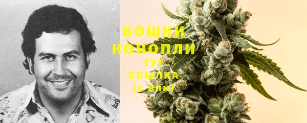 СК Сосновый Бор