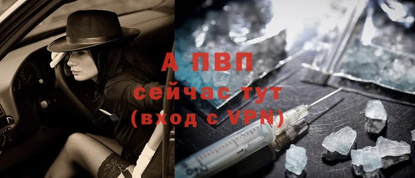 стаф Горно-Алтайск
