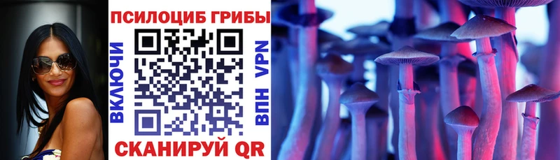 купить закладку  Чита  Псилоцибиновые грибы Magic Shrooms 