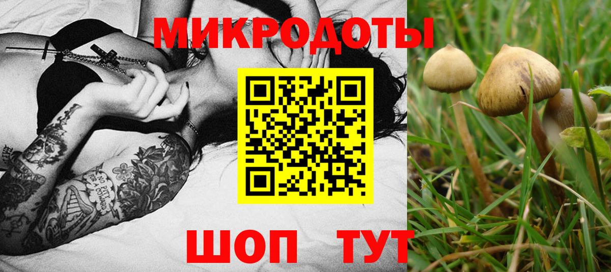 Чита  Псилоцибиновые грибы Cubensis  Вход с VPN  Галлюциногенные грибы GOLDEN TEACHER 