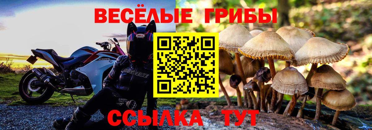 Галлюциногенные грибы GOLDEN TEACHER Чита